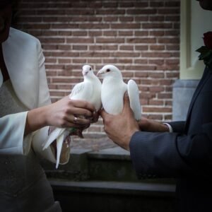 idee per rendere più romantico il matrimonio civile